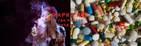 ешки Корсаков