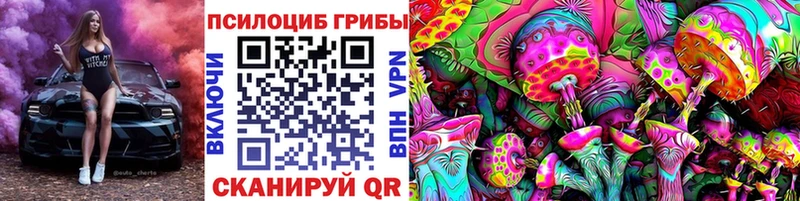 Галлюциногенные грибы прущие грибы  Купить закладки  Бердск 