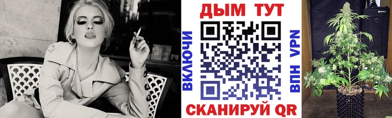 Канабис MAZAR  Купить где  Бердск 